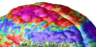 The broccoli sprout extract may treat chemical imbalances in the brains of people with schizophrenia