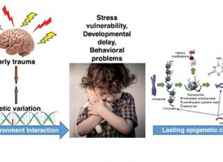 Cold parents : Research has found that early-life stress accelerated cellular aging and increased disease risk later in life