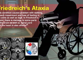 Limited environmental oxygen might one day help Friedreich’s ataxia patients