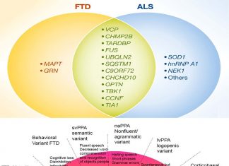 Identified two drug targets for the diseases amyotrophic lateral sclerosis (ALS) and frontotemporal dementia (FTD)