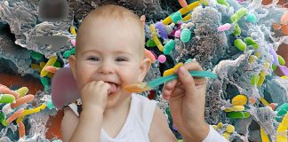 Researchers have found a possible link between the gut microbiome in infants and development of allergies