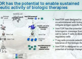 New drug solution use nanoparticles to induce immune tolerance