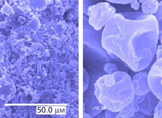 Researchers have reversed resistance to isoniazid – antibiotic for treating tuberculosis