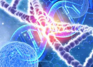 Autism : mutations in DNA are not in actual genes but instead lie in the 99% of the genome once considered junk