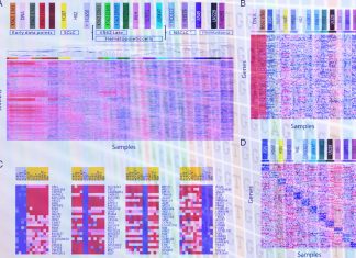 Large libraries of cancer cell lines can yield profound insights into tumors’ unique genetic features