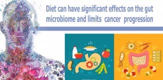 Diet can have significant effects on the gut microbiome and limits cancer progression
