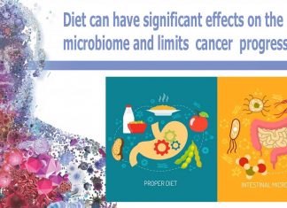 Diet can have significant effects on the gut microbiome and limits cancer progression