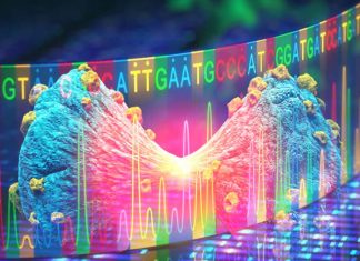 Researchers can track the molecular evolution of cancers
