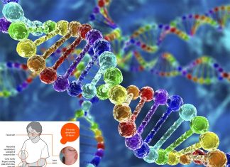 Researchers have shown that rare genetic mutations are a major cause of lupus