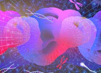 Gender-biased regulation of proteins in the brain – new direction for autism research