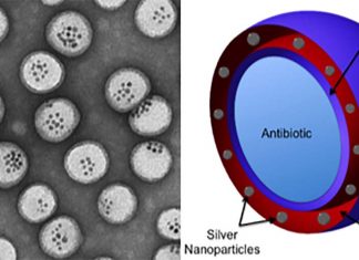 Cancer treatment – New nanometer-sized drug systen can delivery simultaneously multiple drugs