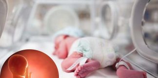 Breakthrough Insulin-Based Therapy Aids Preterm Babies’ Digestive Development