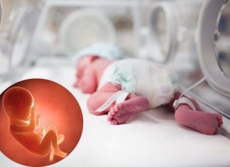 Music specially composed for preterm babies helps strengthen the development of neural networks