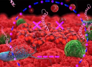 New type of decoy drug can tackle infections that are resistant to antibiotics