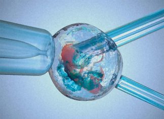 Embryo test before IVF increase the odds that an embryo will successfully implant during in vitro fertilization