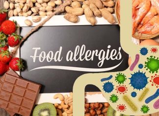 Food allergies could reverse by targeting gut bacteria