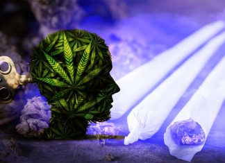 How does the brain become dependent on cannabis?