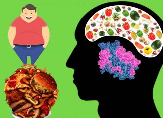 Leptin the hormone that plays a key role in appetite, overeating, and obesity