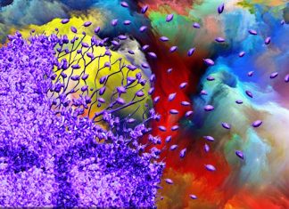 What is the terminal or paradoxical lucidity ?