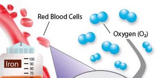 People with high iron levels are less likely to have high cholesterol