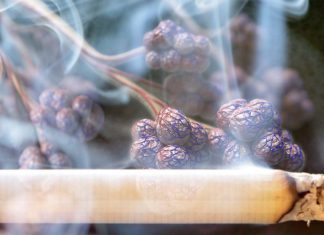 Thirdhand smoke can damage epithelial cells in the respiratory system