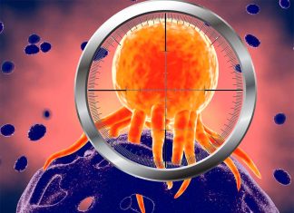 Tumors and certain viral infections switches the human body to a hypofunctional state that prevents adequate protection