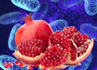 Urolithin A – a metabolite in pomegranates – powerful anti aging that improves the functioning of mitochondria