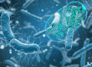 Some antidepressants could potentially be used to treat a wide range of diseases caused by bacteria living within cell