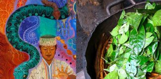Researchers found the widespread presence of naturally-occurring DMT in the mammalian brain
