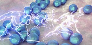 New research has identified a type of bacteria found in the microbiomes of elite athletes that contributes to improved capacity for exercise