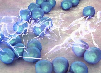 New research has identified a type of bacteria found in the microbiomes of elite athletes that contributes to improved capacity for exercise