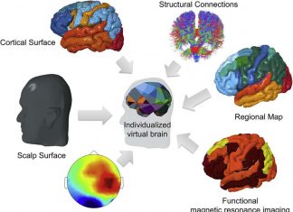 How it’s represented in the brain the knowledge learned at school ?