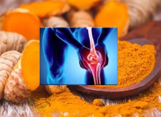 Research team has developed a drug delivery system using curcumin that successfully inhibits bone cancer cells while promoting growth of healthy bone cells