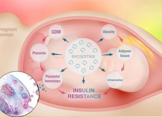 Researchers can detect early signs of type 2 diabetes in teens using microRNA