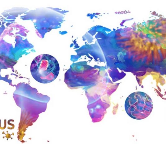 Researchers found the association of habitat loss and the global emergence of infectious diseases