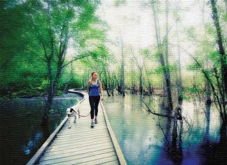 Spending at least two hours a week in nature may be a crucial threshold for promoting health and well being