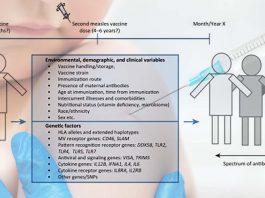 There is considerable variability in the magnitude and persistence of vaccines-induced immunity