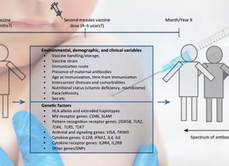 There is considerable variability in the magnitude and persistence of vaccines-induced immunity