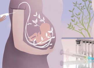 Researchers have determined how a pregnant woman’s vaccine-induced immunity is transferred to her child