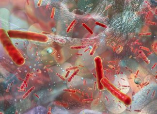 Superbugs : WHO offers global plan to curb the spread of antibiotic resistant germs