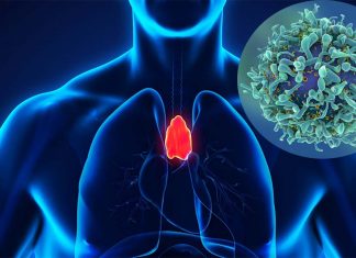 Researchers have for the first time identified factors affecting the cells in the thymus