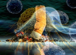 Cancer patients that quitting smoking prolong life and prevent recurrence
