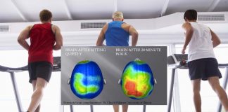 Exercise is good for your health and make smarter