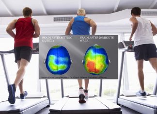 Exercise is good for your health and make smarter