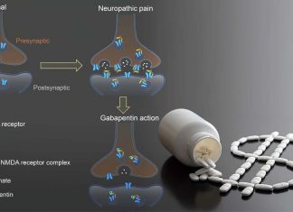 Gabapentin : Pharmaceutical companies’ payments to doctors may be influencing them to prescribe the more expensive pain drug