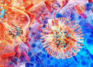 Gut microbes stimulate antiviral signals protecting against flu virus