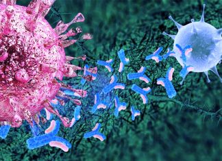 Human cytomegalovirus (HCMV) stays asleep inside our cell
