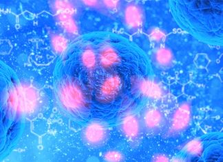 Kill the cancer by blocking the ATF4 protein
