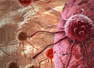 Researchers discovered why inactive LKB1 results in cancer development