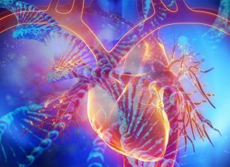 TTN (titin) gene mutation may not always predict heart disease